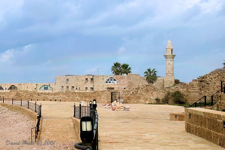 Crusader wall