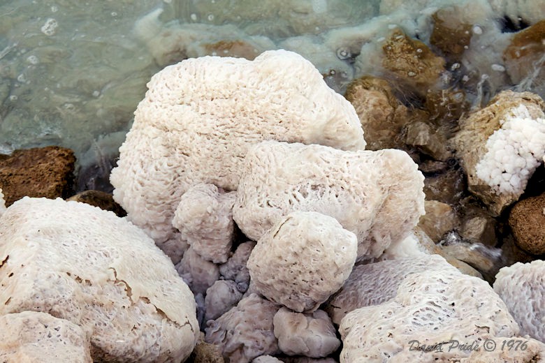 Salt crystals