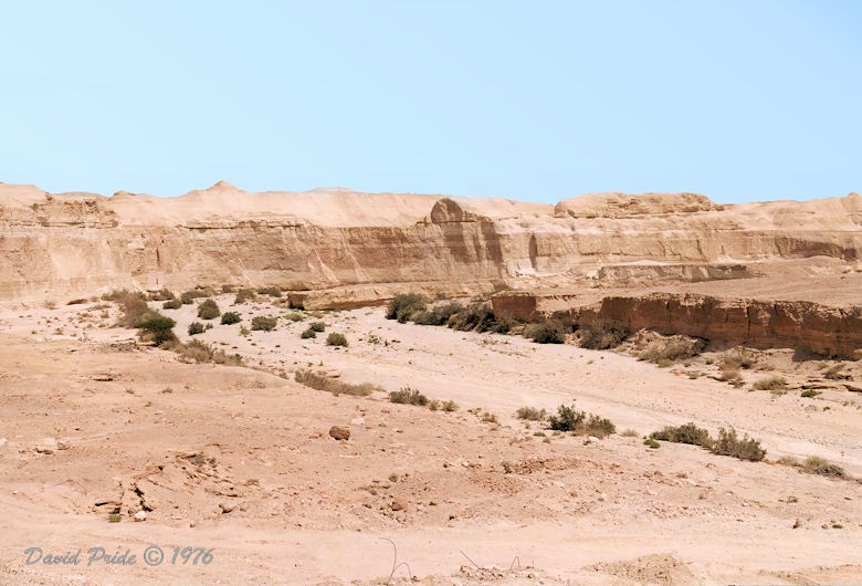 Negev Desert